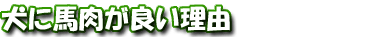 馬肉が良い理由